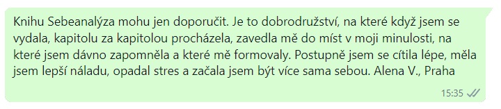 Sebeanalýza - reference 10